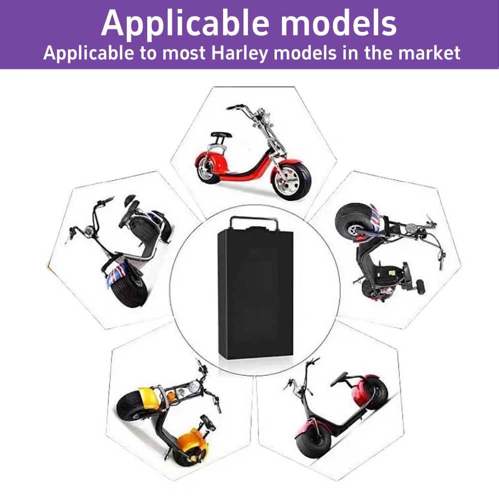 60V for Harley Electric Vehicl - 60V 30Ah Electric Scooter Battery review and price